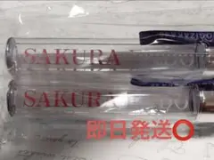 【即日発送】遠藤さくら スティックライト2本セット lucky bag 25