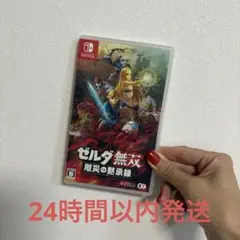 ゼルダ無双 厄災の黙示録 Nintendo Switch