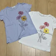 3can4on キッズ Tシャツ 2枚セット 130