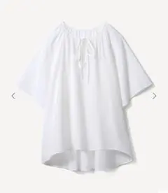 Item thumbnail for item 340dc3c6-c1c6-4822-b00d-e7076ead7d9e