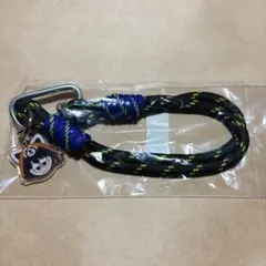 Item thumbnail for item 072de6a0-16aa-4756-9ae8-2f0b0561d044