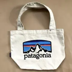 【美品】パタゴニア patagonia トートバッグのサムネイル