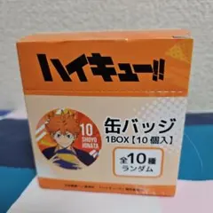 アニメ「ハイキュー!!」ランダム缶バッジ10個入りBOX　新品・未開封
