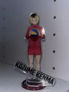 2026年最新】ハイキュー アクリルmegaフィギュア 孤爪研磨の人気