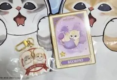 mofusand アクリルキーホルダー 星座カード さそり座 セット