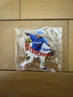 中日ドラゴンズ  ピンバッチ Amazon.co.jp: 中日ドラゴンズ オフィシャルファンクラブ