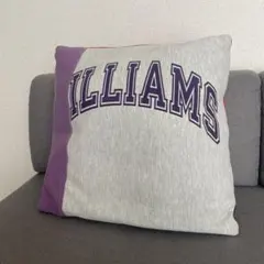 チャンピオン リバースウィーブ クッションカバー リメイク champion