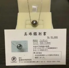 ’42:南洋黒蝶真珠ネックレス【値下げ】