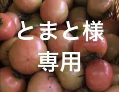 とまと様 専用のサムネイル