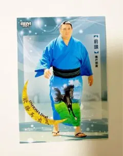 Item thumbnail for item 752faf95-ce42-4078-b874-69418d22e5a5