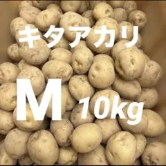 キタアカリ Mサイズ 10kg じゃがいものサムネイル