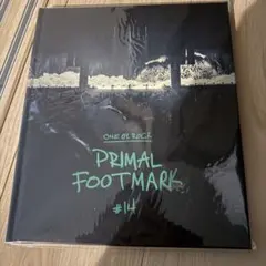 ONE OK ROCK PRIMAL FOOTMARK 2025 新品 未開封
