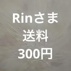 Rinさま　再送送料