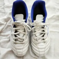 Mizuno ミズノ スパイク 　モナルシーダ NEO　22cm