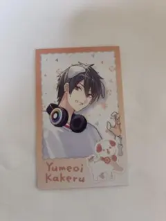 夢追翔 にじさんじ チェキ