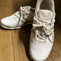 ゴルフシューズ 25.5 NIKE