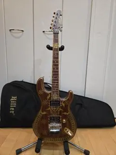 2025年最新】シタール エレクトリックの人気アイテム - メルカリ