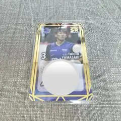 2026年最新】オンサイトカード サンフレッチェ広島の人気アイテム