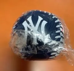 ニューヨーク・ヤンキース ソフティボール