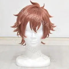 ツイステ　エース　コスプレ衣装　ウィッグ