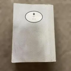 東野圭吾　時生