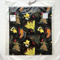 ポケモン　ピカチュウ　レックウザ　巾着Lサイズ　お着替え袋　体操着袋　男の子