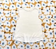 Item thumbnail for item 4a863722-6a0c-454f-bc1f-a6a85e145bfe