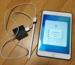美品 iPad mini 5世代 傷・不具合なし ApplePencilつき