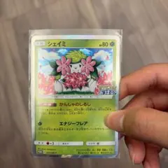 2026年最新】ポケモンカード シェイミ しょこたんの人気アイテム