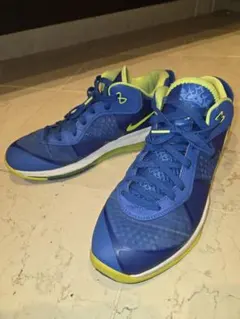 Nike LeBron VIII V/2 Low QS