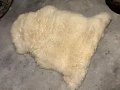 Item thumbnail for item 40879480-0a1d-4f3d-a28a-6a35410754c7