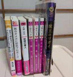 BL小説まとめ売り　7冊