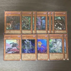 遊戯王LIMITED PACK ラーイエローD-HERO 青文字まとめ売り12枚 - メルカリ