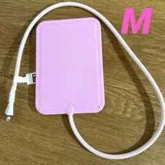 Item thumbnail for item ffabdc03-c178-4c20-a8fc-d1a7640b9571