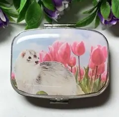 ⚠️フォロワー様感謝SALE⚠️ハンドメイド レジン フェレット ピルケース