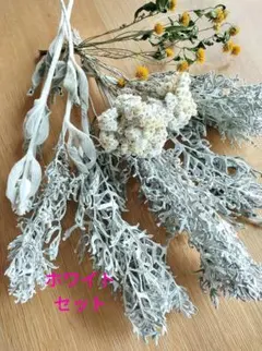 ドライフラワー ホワイト系 セット