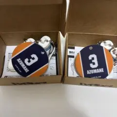 東峰 旭 ハイキュー ミニチュアシューズ コレクション