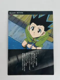 2025年最新】HUNTER×HUNTERカードダスマスターズ初版ゴンカードの人気