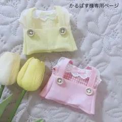 かるぱす様専用ページ
