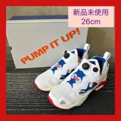 リーボック　インスタポンプフューリー95 GY1631 26cm