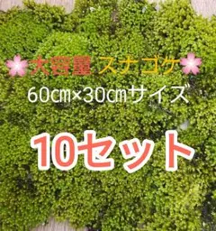 2025年最新】スナゴケの人気アイテム - メルカリ