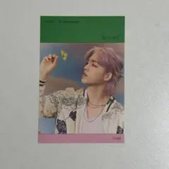 セブチ seventeen sector17 ステッカー　エスクプス