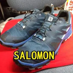 SALOMON SHOES XA ROGG GTX