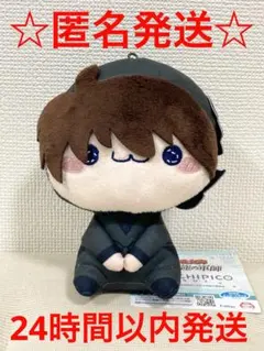 劇場版 忍たま乱太郎 ドクタケ忍者隊最強の軍師　もちぴこぬいぐるみ　土井先生