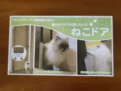 캣도어 시공 불필요