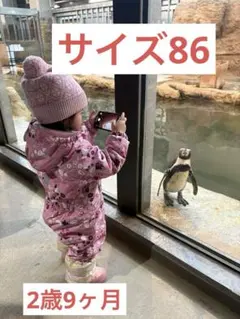 スキーウェア ジャケット・コート