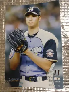 大谷翔平 2015 ハイライトフォト No.199 日本ハム 球団公式写真