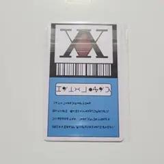 HUNTER×HUNTER ハンターライセンスカード