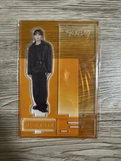 SEVENTEEN スングァン アクスタ