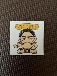 石田有輝 ステッカー 非売品